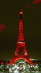 Torre Eiffel #14