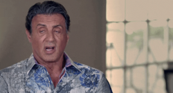 Stallone #54