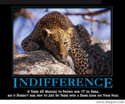 Indifference #1