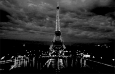 Torre Eiffel #102