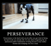 Perseverance #91