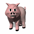 Porcs #2